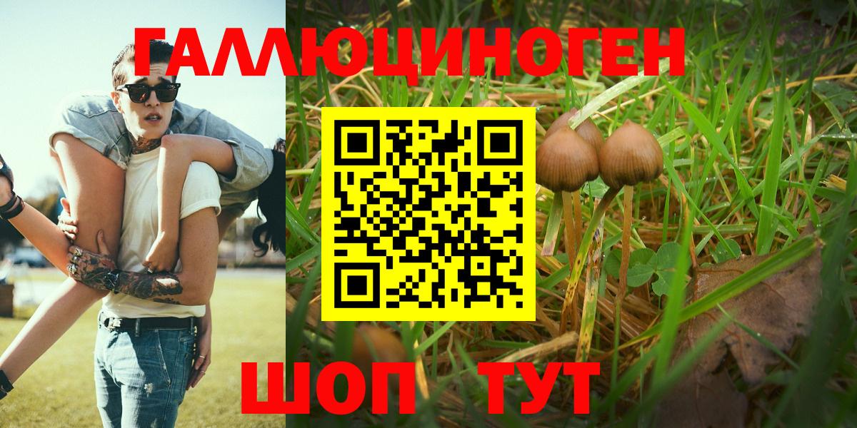 Галлюциногенные грибы GOLDEN TEACHER Мыски